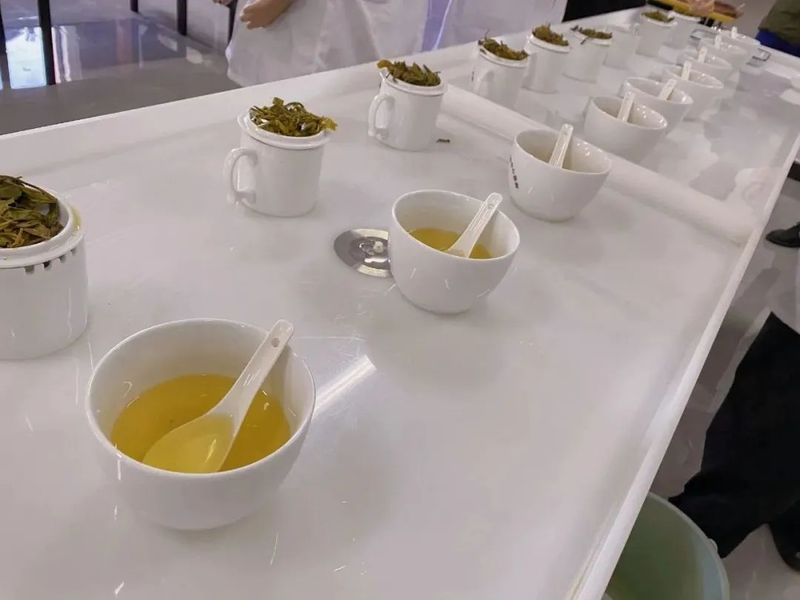 关于临翔区：以茶为题助推“三茶统筹”引领茶产业高质量发展的内容(2)