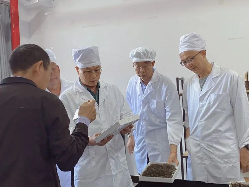 关于临翔区：以茶为题助推“三茶统筹”引领茶产业高质量发展的内容(4)