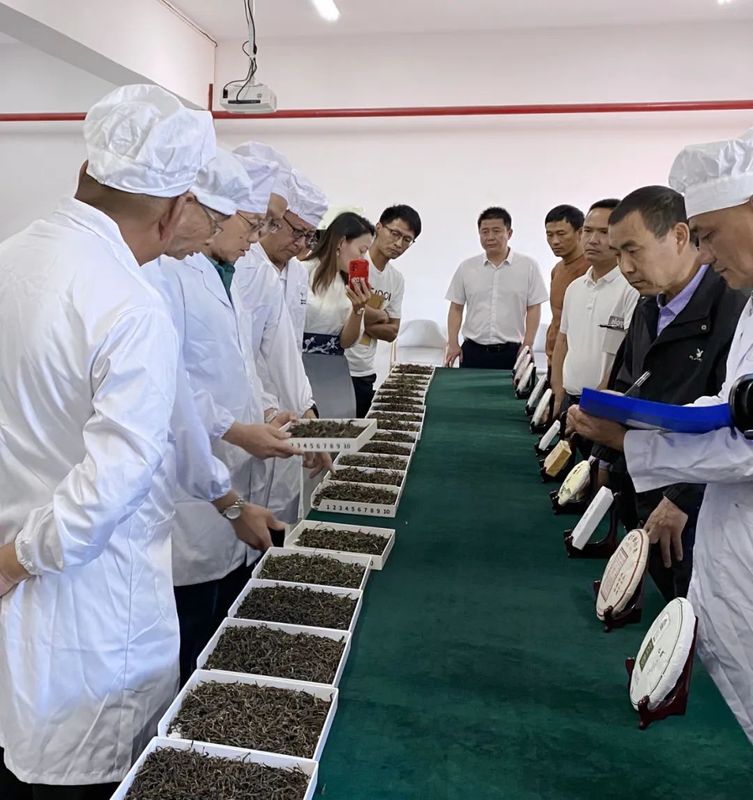 关于临翔区：以茶为题助推“三茶统筹”引领茶产业高质量发展的内容(1)