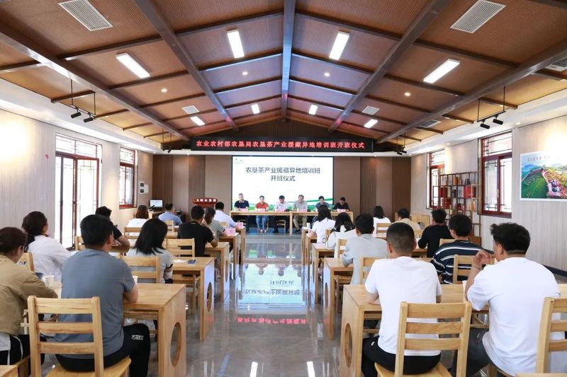 关于农垦茶产业援藏异地培训班在大明山茶园开班的资讯