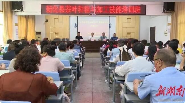 关于新化县举行茶叶种植与加工技能培训的消息