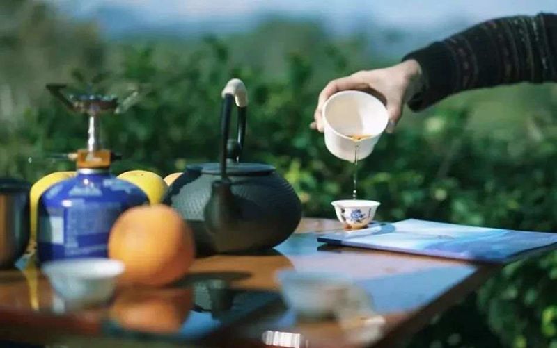 关于江苏省搭建制茶、评茶交流平台推介茶旅精品路线推进茶与文旅、康养等产业融合发展的最新消息(8)