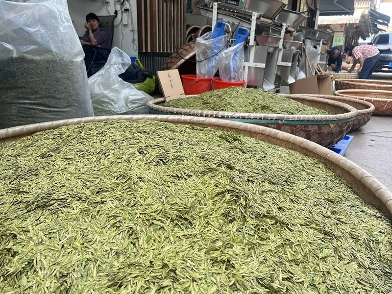 关于江苏省搭建制茶、评茶交流平台推介茶旅精品路线推进茶与文旅、康养等产业融合发展的最新消息(13)