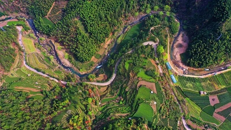 关于江苏省搭建制茶、评茶交流平台推介茶旅精品路线推进茶与文旅、康养等产业融合发展的最新消息(1)