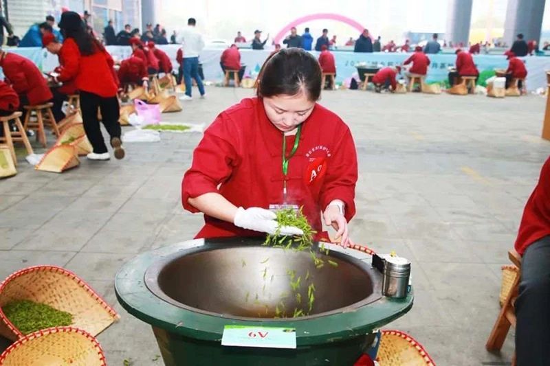 关于江苏省搭建制茶、评茶交流平台推介茶旅精品路线推进茶与文旅、康养等产业融合发展的最新消息(14)