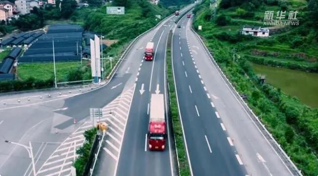 关于借“数”助农:千年苔茶借数字货运“出山”的内容(1)