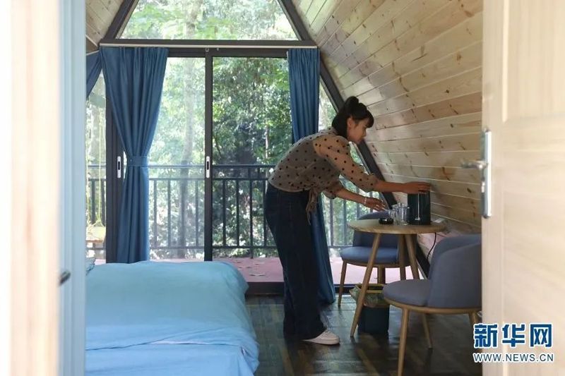 关于探访万亩连片茶园 看“一叶”如何“富一方”的最新消息(4)