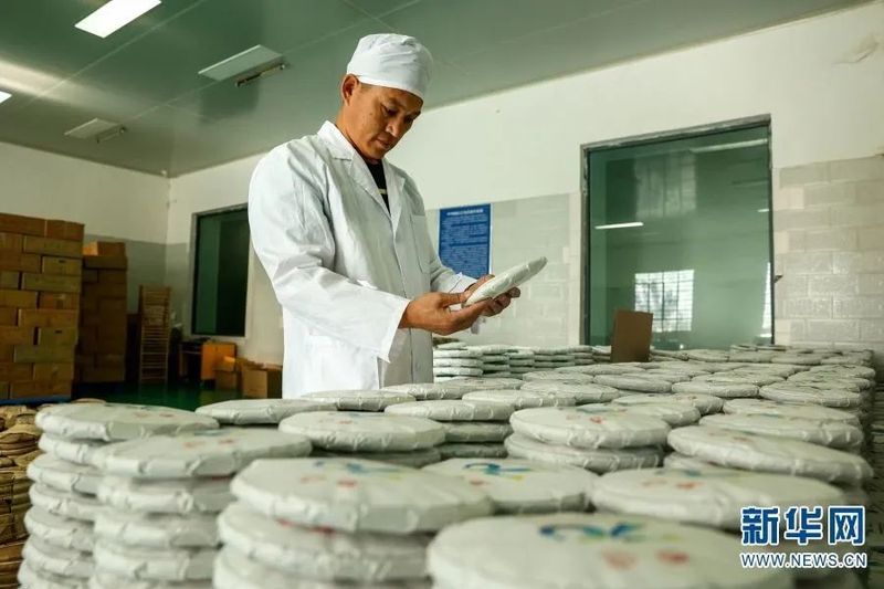 关于探访万亩连片茶园 看“一叶”如何“富一方”的最新消息(3)