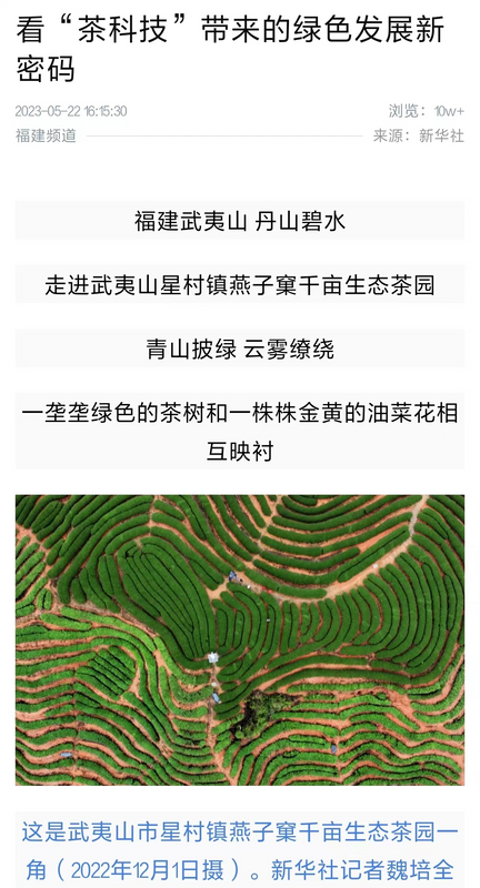 关于看“茶科技”带来的绿色发展新密码的资讯