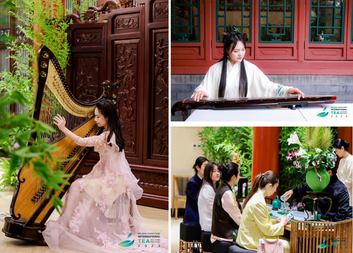 关于茶，北京朝阳喝出了“国际范er”的信息(2)