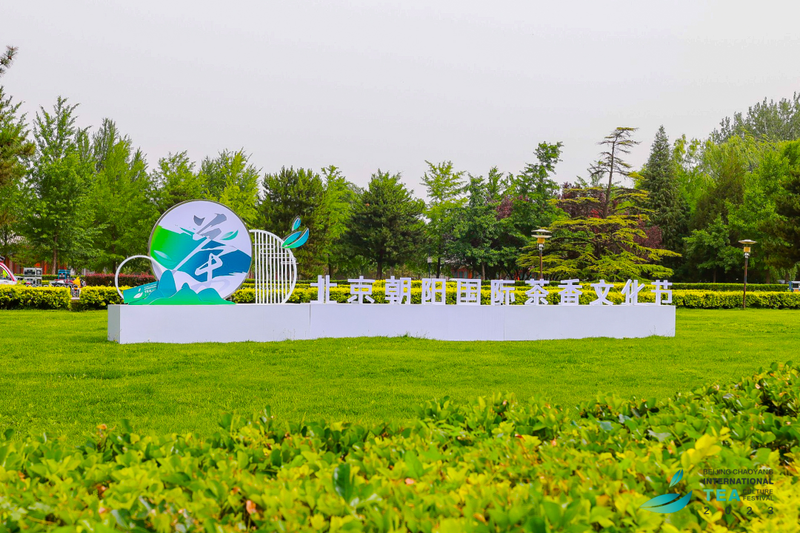 关于茶，北京朝阳喝出了“国际范er”的信息