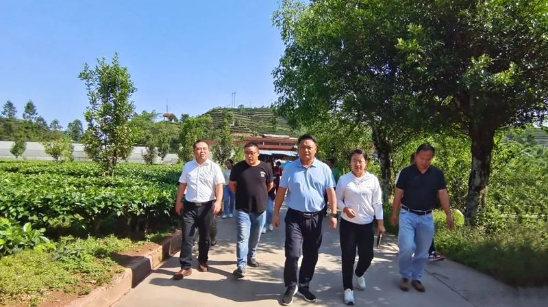 有关于龙德生到企业调研茶产业发展时强调：要因地制宜 做优茶产业 积极推动茶旅融合发展的新闻