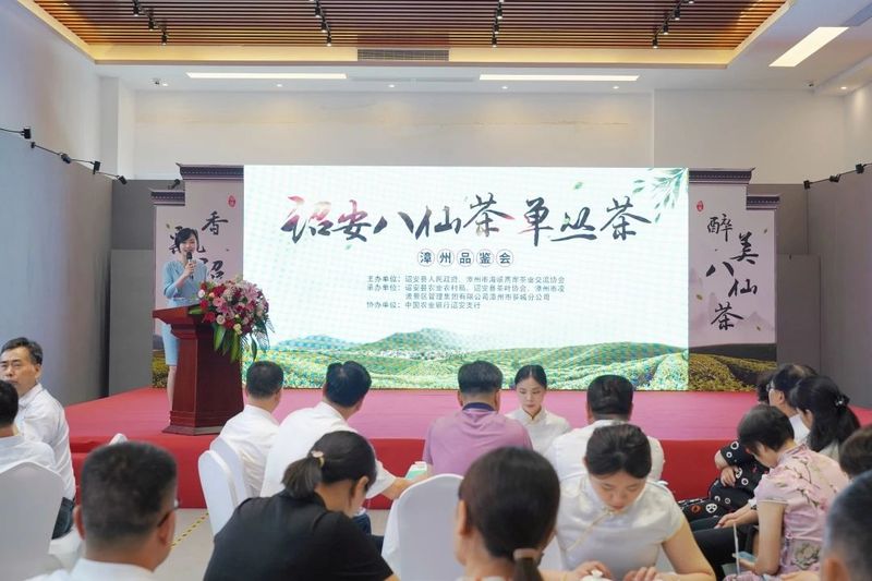 关于茶和天下!遇见中国海峡硒都的一杯“仙”茶的信息