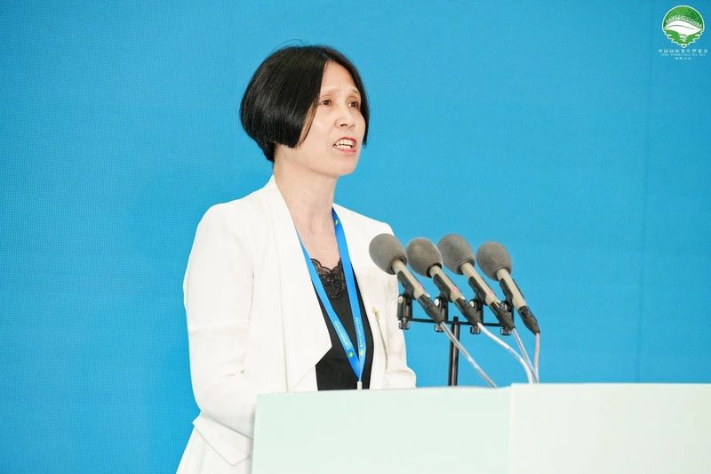 有关于泰顺三杯香杭州推介会暨《茗闻天下 泰顺三杯香》新书发布会在杭举行的信息(6)