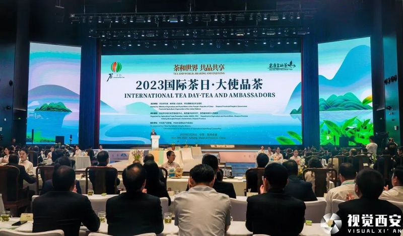 有关于全球共享中国好茶！第四个国际茶日留下了哪些精彩时刻？的资讯(12)