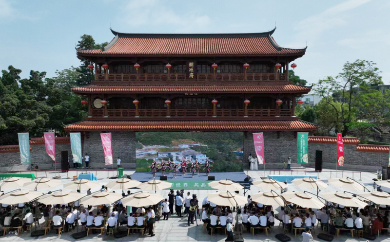 有关于全球共享中国好茶！第四个国际茶日留下了哪些精彩时刻？的资讯(10)