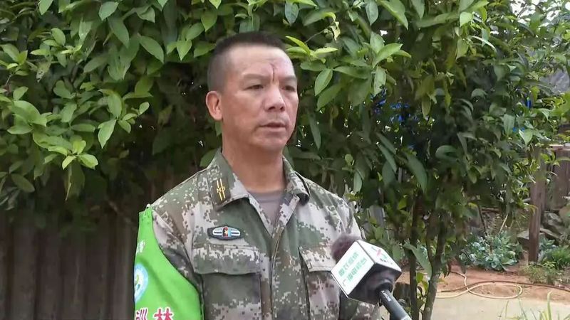 有关于建引领林长制 助力普洱茶现代产业示范县建设的相关信息(2)