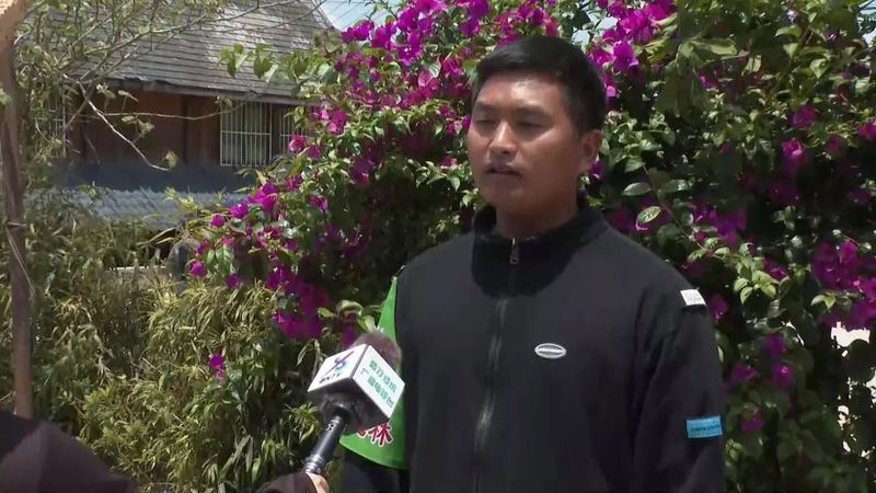 有关于建引领林长制 助力普洱茶现代产业示范县建设的相关信息(5)