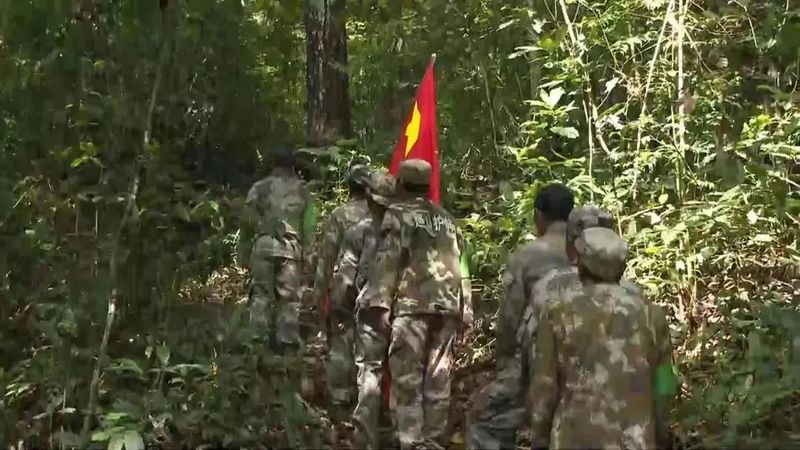 有关于建引领林长制 助力普洱茶现代产业示范县建设的相关信息(1)