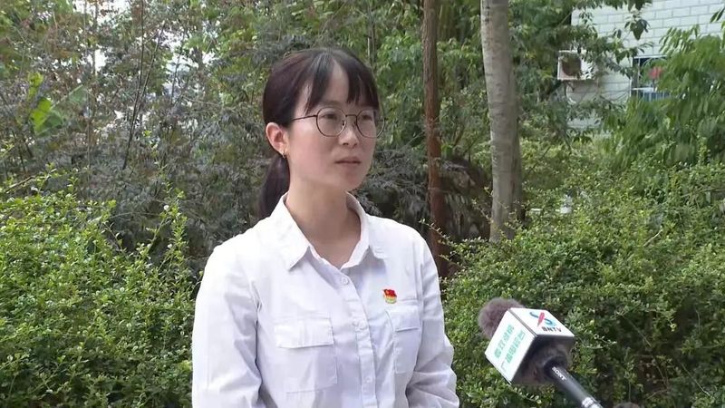 有关于建引领林长制 助力普洱茶现代产业示范县建设的相关信息(10)