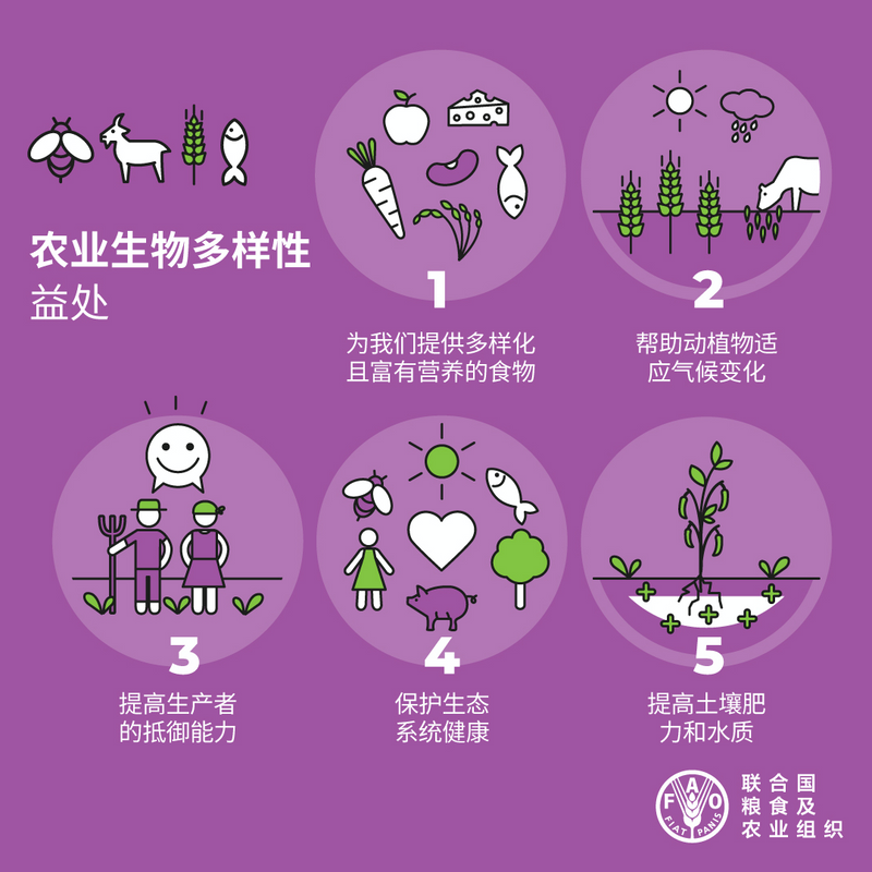 有关于安溪铁观音茶文化系统获颁“全球重要农业文化遗产”证书的相关信息(5)