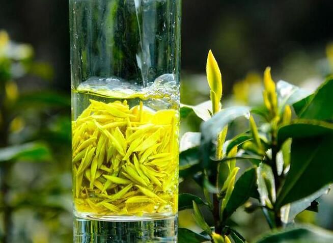 有关于浙江丽水：持续打响“丽水香茶”区域品牌 用“绿叶子”铺就共富路的相关信息(1)