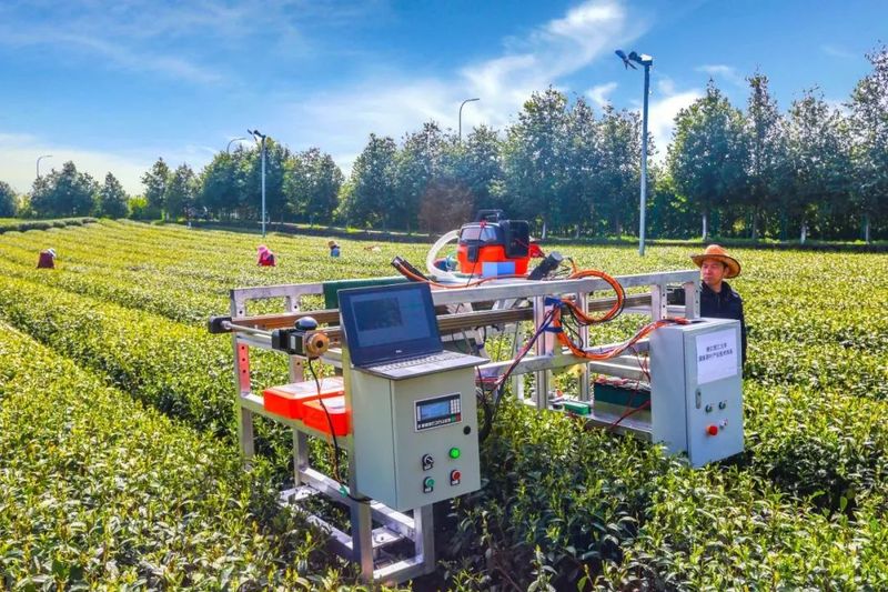 有关于科技赋力领风骚 ——浙江高质量推动“三茶”统筹发展纪实的相关信息(1)