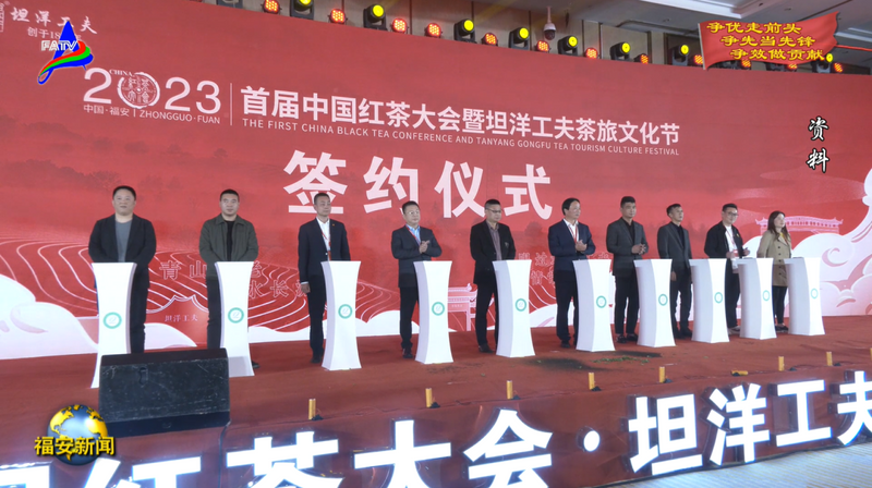 关于福安多措并举推动茶产业增效茶农增收的内容(4)