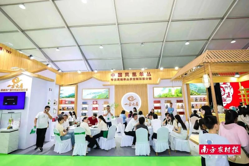 关于推动好茶“飞入”千家万户！凤凰单丛茶跨县集群产业园加持茶业发展的资讯(4)