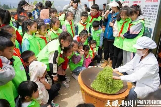 有关于认领一亩“智慧茶园” 宅家也能种“春天”的消息(4)