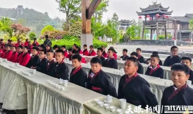 有关于认领一亩“智慧茶园” 宅家也能种“春天”的消息(2)