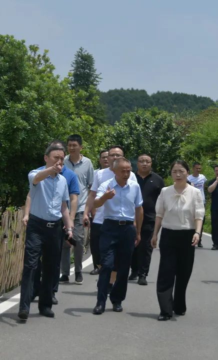 关于天下茶人齐聚九江 名茶名泉“香”约濂溪的内容(12)