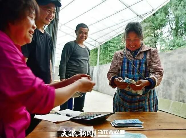 关于满目皆翠绿 茶农绽笑颜的资讯(2)