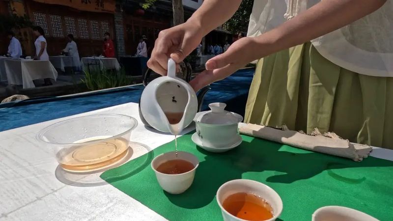 关于国际茶日，宁洱县举办“茶和天下·共享非遗” 主题系列茶文化活动的相关信息(11)