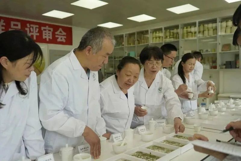 有关于晒青茶、龙井茶两项国家标准样品通过评审！的相关内容(3)