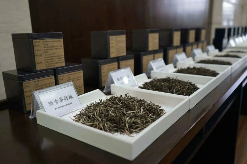 有关于晒青茶、龙井茶两项国家标准样品通过评审！的相关内容(2)