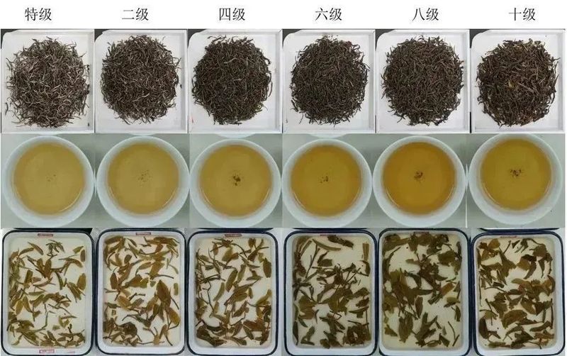 有关于晒青茶、龙井茶两项国家标准样品通过评审！的相关内容(6)