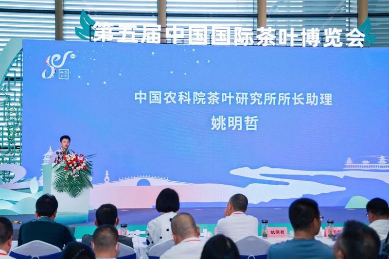 有关于杭情施意，都在茶里！的最新消息(22)