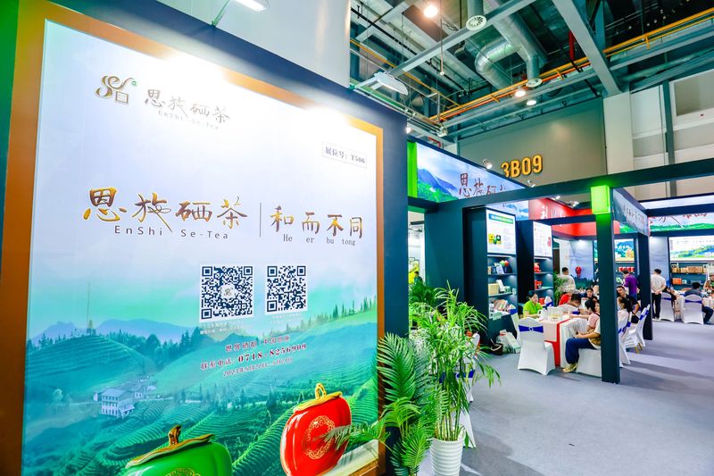 有关于杭情施意，都在茶里！的最新消息(2)