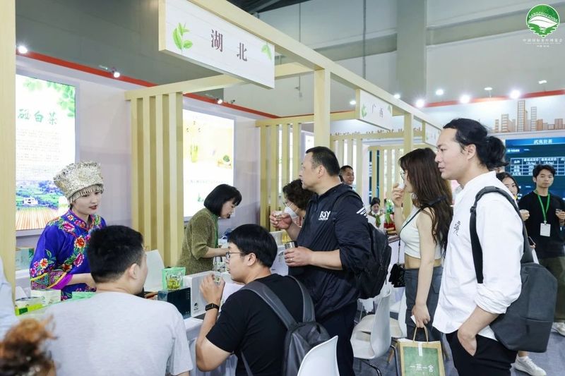 有关于杭情施意，都在茶里！的最新消息(7)