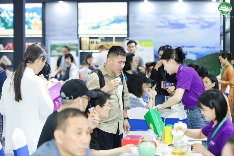 有关于杭情施意，都在茶里！的最新消息(3)