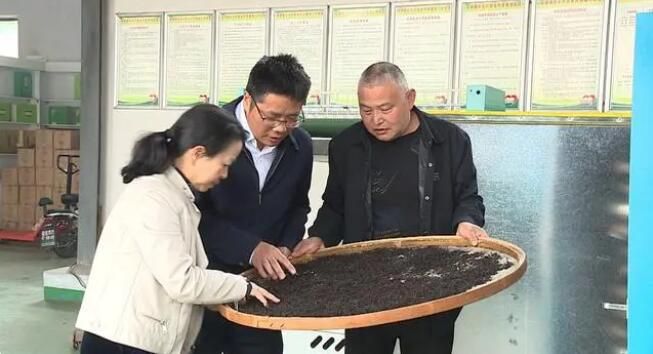 有关于安徽舒城：推进夏秋茶生产 延伸茶叶产业链的相关信息(2)