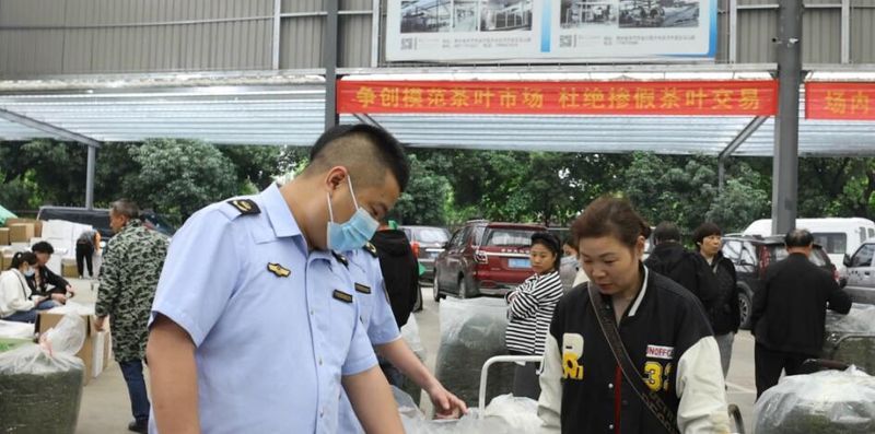 关于“松阳茶叶在线”赋能茶产业发展的相关内容(19)