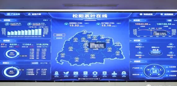 关于“松阳茶叶在线”赋能茶产业发展的相关内容(4)