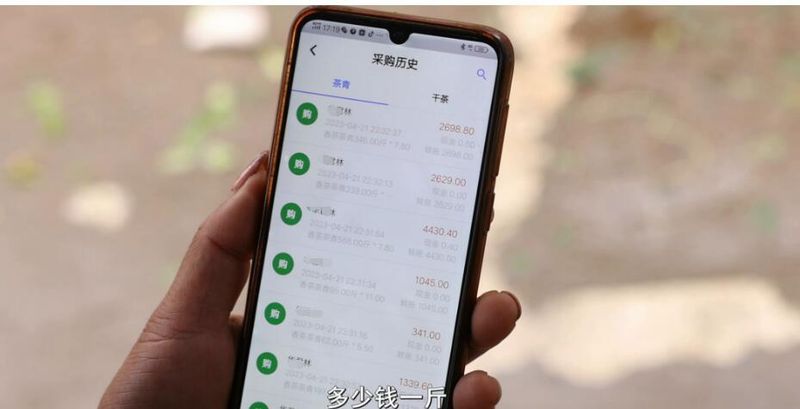 关于“松阳茶叶在线”赋能茶产业发展的相关内容(3)