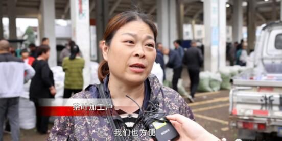 关于“松阳茶叶在线”赋能茶产业发展的相关内容(5)