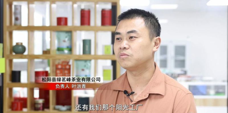 关于“松阳茶叶在线”赋能茶产业发展的相关内容(17)