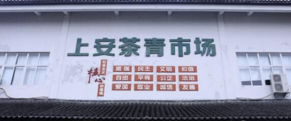 关于“松阳茶叶在线”赋能茶产业发展的相关内容(1)