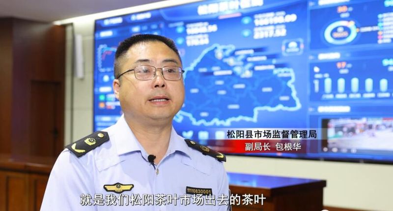 关于“松阳茶叶在线”赋能茶产业发展的相关内容(11)