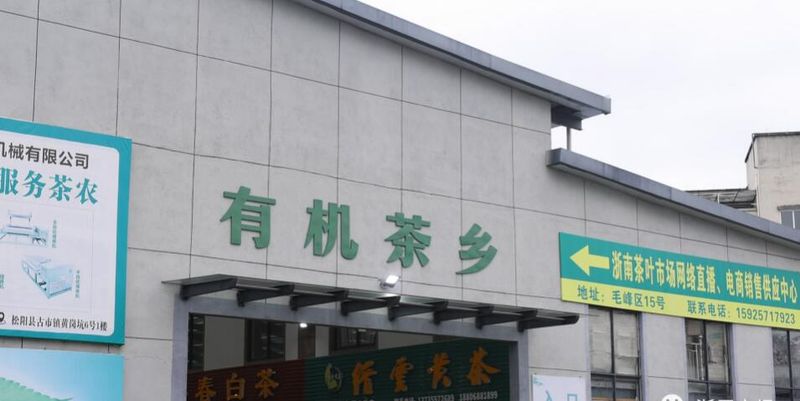 关于“松阳茶叶在线”赋能茶产业发展的相关内容(12)